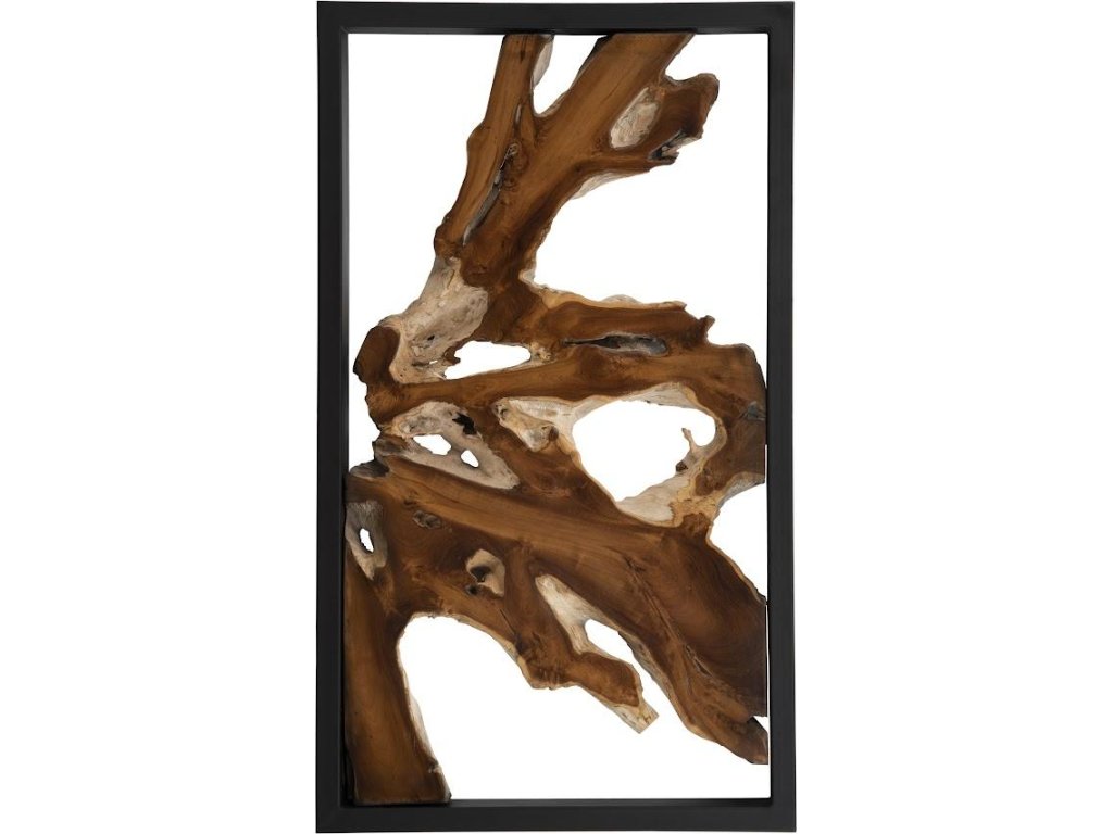 Framed Root Wall Art, Rectangle, Black - main image