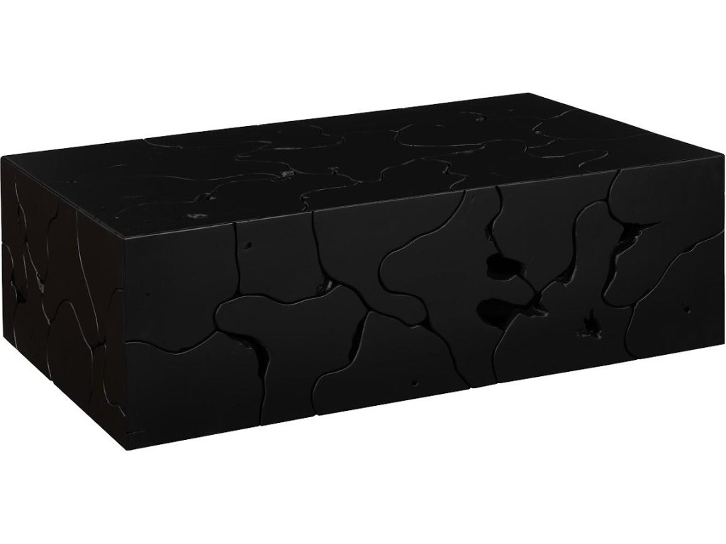 Teak Slice Coffee Table, Rectangle, Black - main image