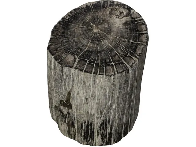 Petrified Wood Stool, Polished