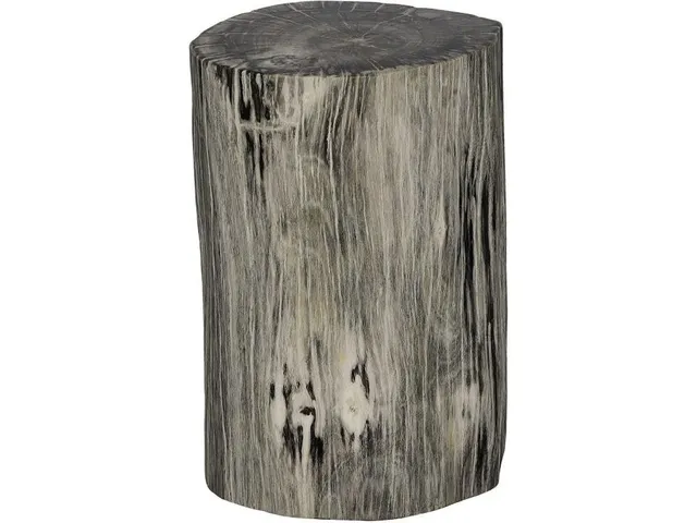 Petrified Wood Stool, Polished