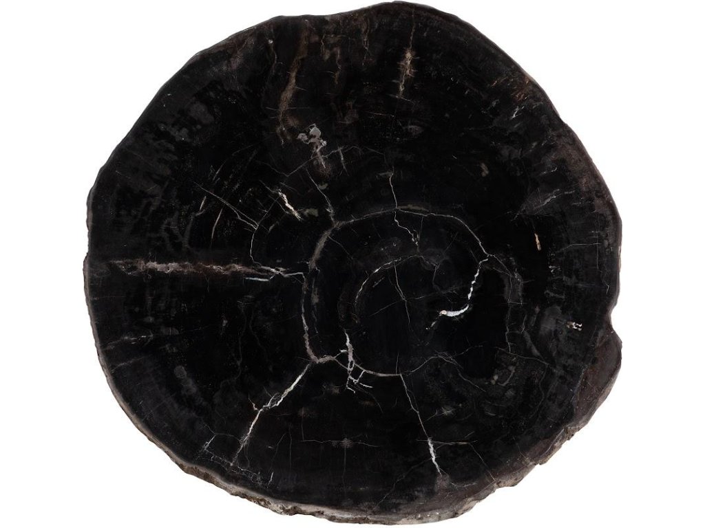 Petrified Coffee Table, Round, Metal Black Base - image 1