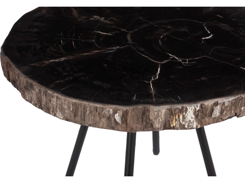 Petrified Coffee Table, Round, Metal Black Base - image 2