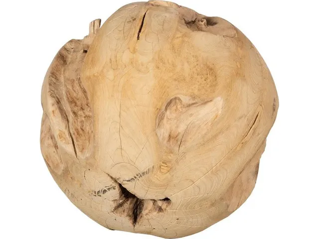 Teak Wood Ball, Large, Bleached - Alternative View