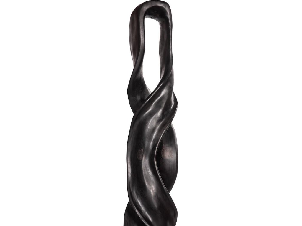 Twisting Root, Sculpture, Black - image 2