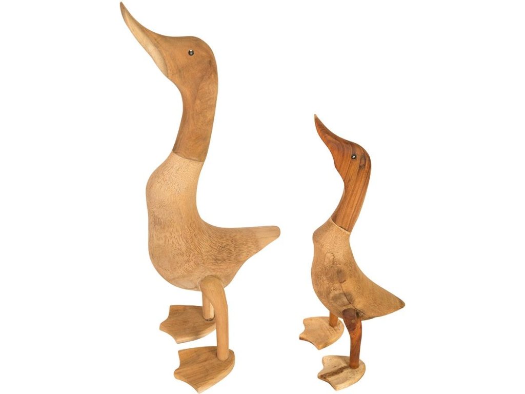 Wood Duck, Set of 2 - main image