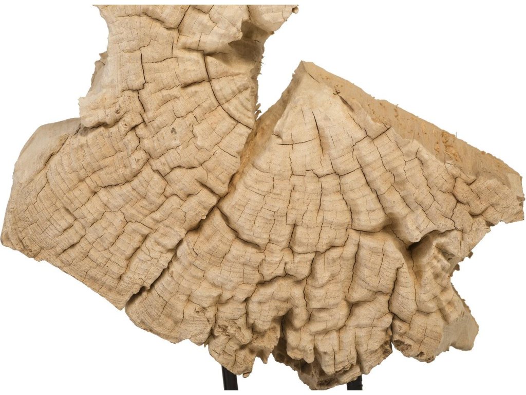 Teak Sculpture on Stand - image 2