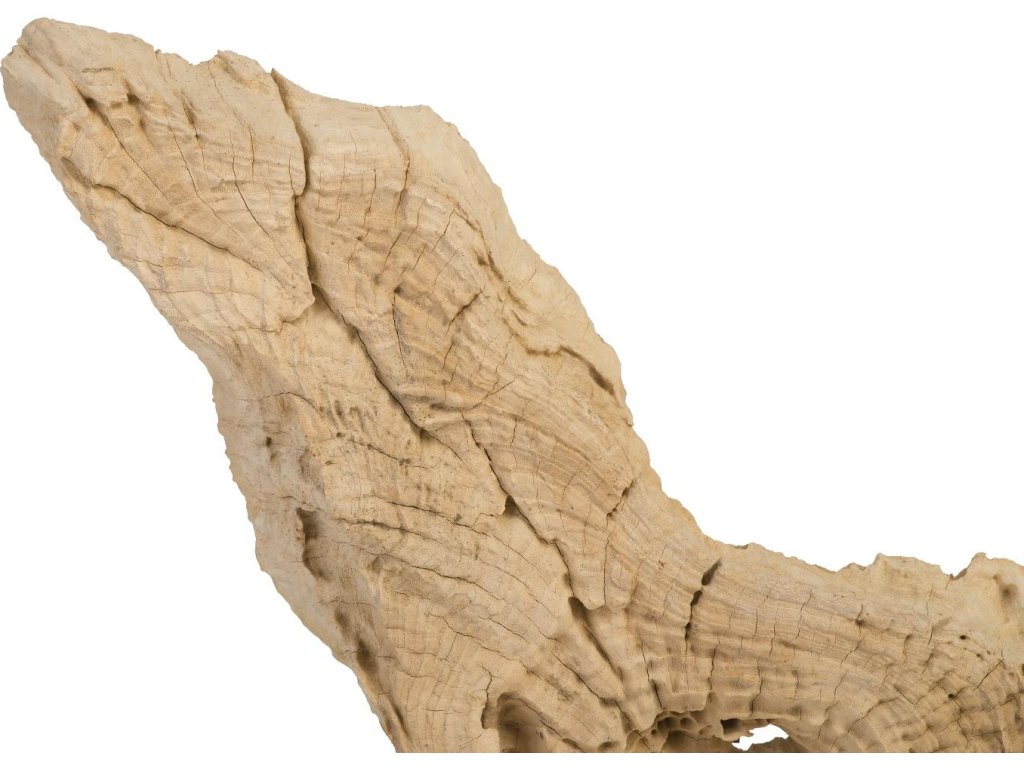 Teak Sculpture on Stand - image 3