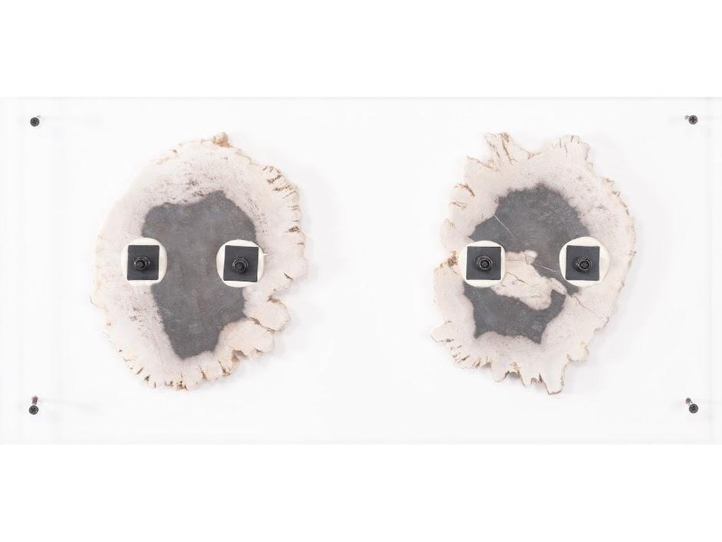 Floating Petrified Double Slice Wall Art - image 5