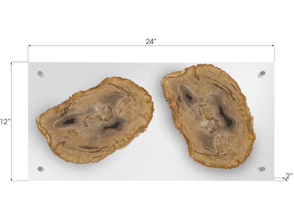 Floating Petrified Double Slice Wall Art - image 6