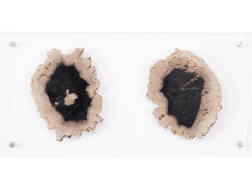 Floating Petrified Double Slice Wall Art - main image