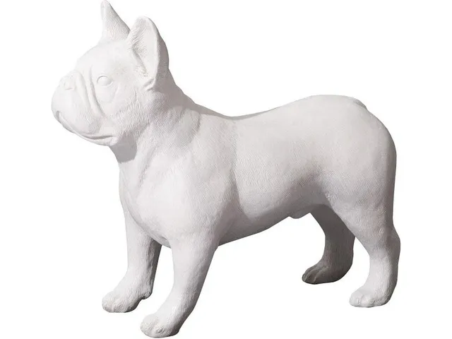 French Bulldog, Gel Coat White