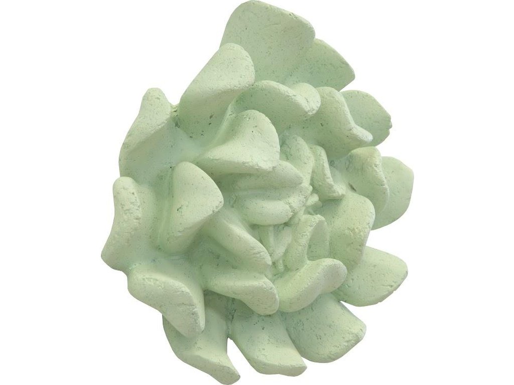 Topsy Turvy Succulent Wall Art, Jade - image 1