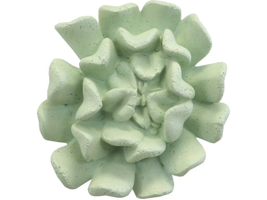 Topsy Turvy Succulent Wall Art, Jade - main image