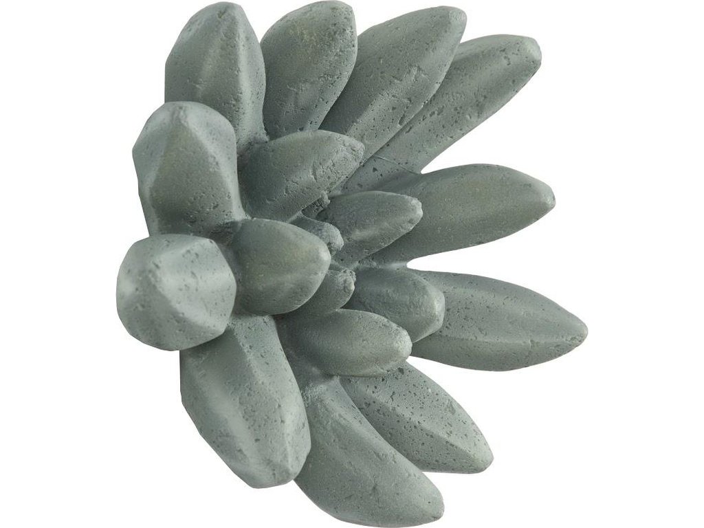 Compactum Succulent Wall Art, Forest - image 1