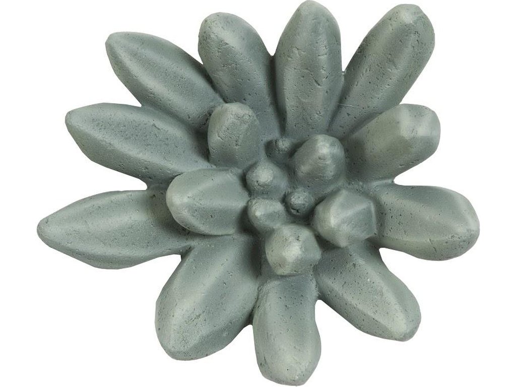 Compactum Succulent Wall Art, Forest - main image