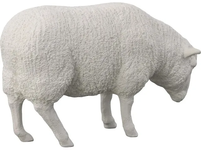 Sheep Sculpture, Gel Coat White - Alternative View
