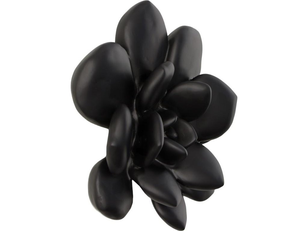 Laui Succulent Wall Art, Smooth Matte Black - image 1