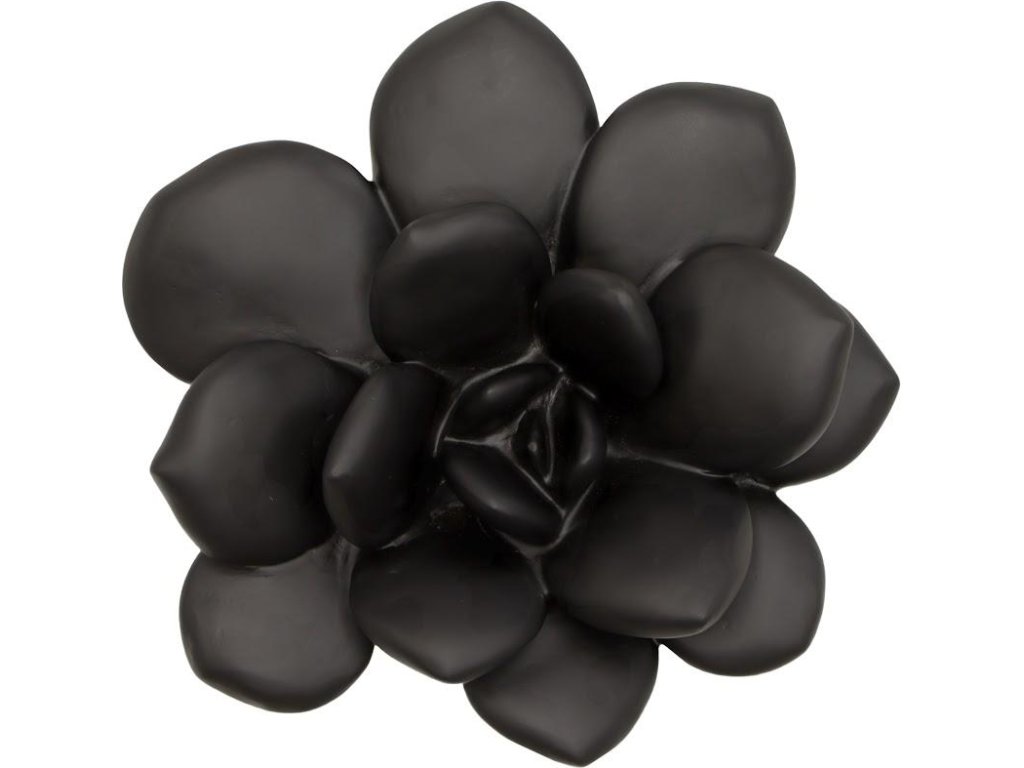 Laui Succulent Wall Art, Smooth Matte Black - main image