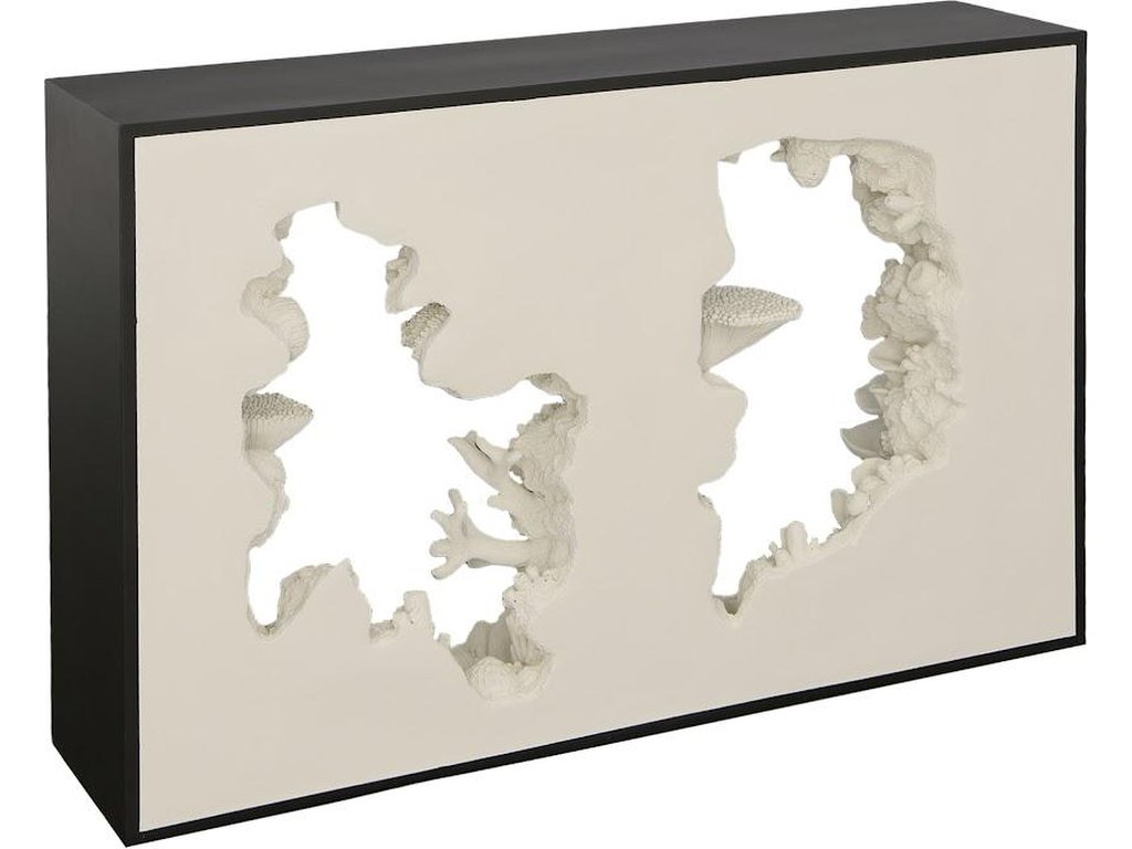 Reef Framed Console - image 1