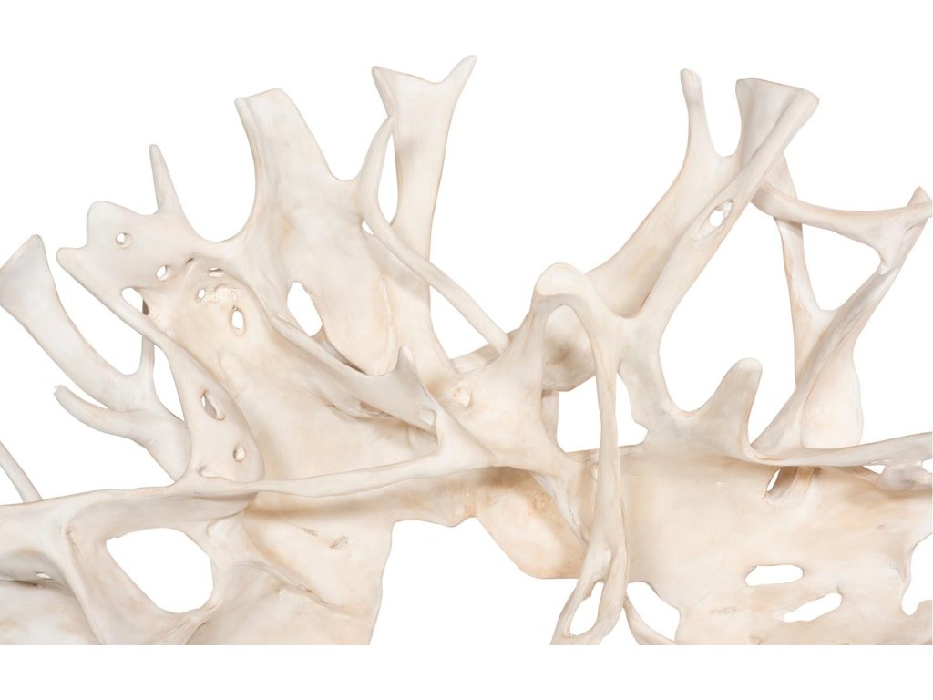 Cast Root Wall Decor, Faux Bleached - image 2