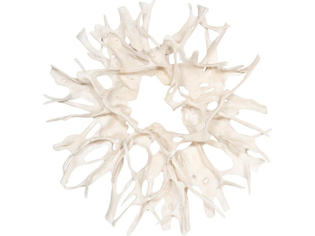 Cast Root Wall Decor, Faux Bleached - main image