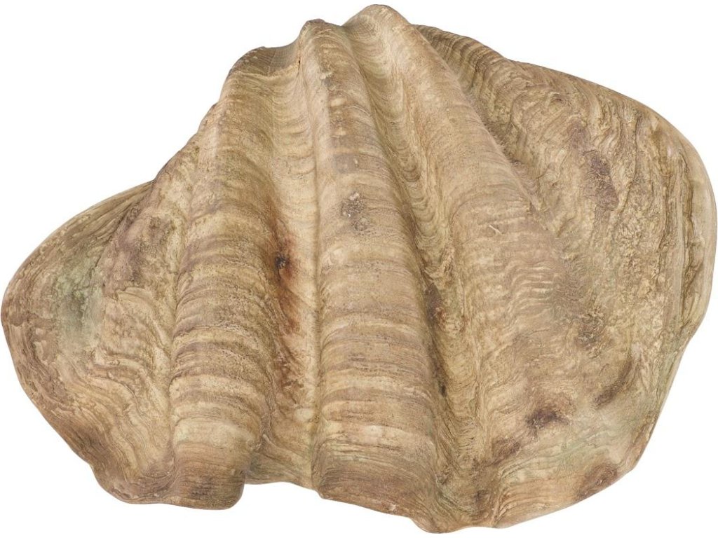 Cast Clam Shell Bowl, Faux Finish, LG - image 3