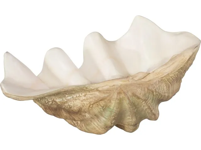 Cast Clam Shell Bowl, Faux Finish, LG
