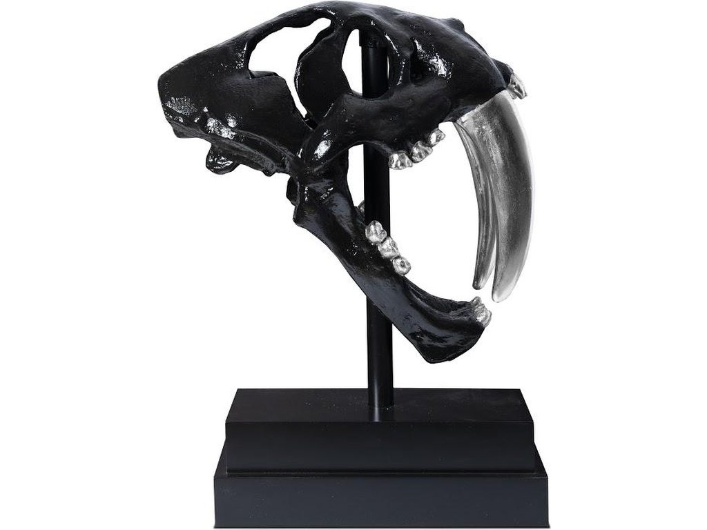 Saber Tooth Tiger Skull, Black - image 1