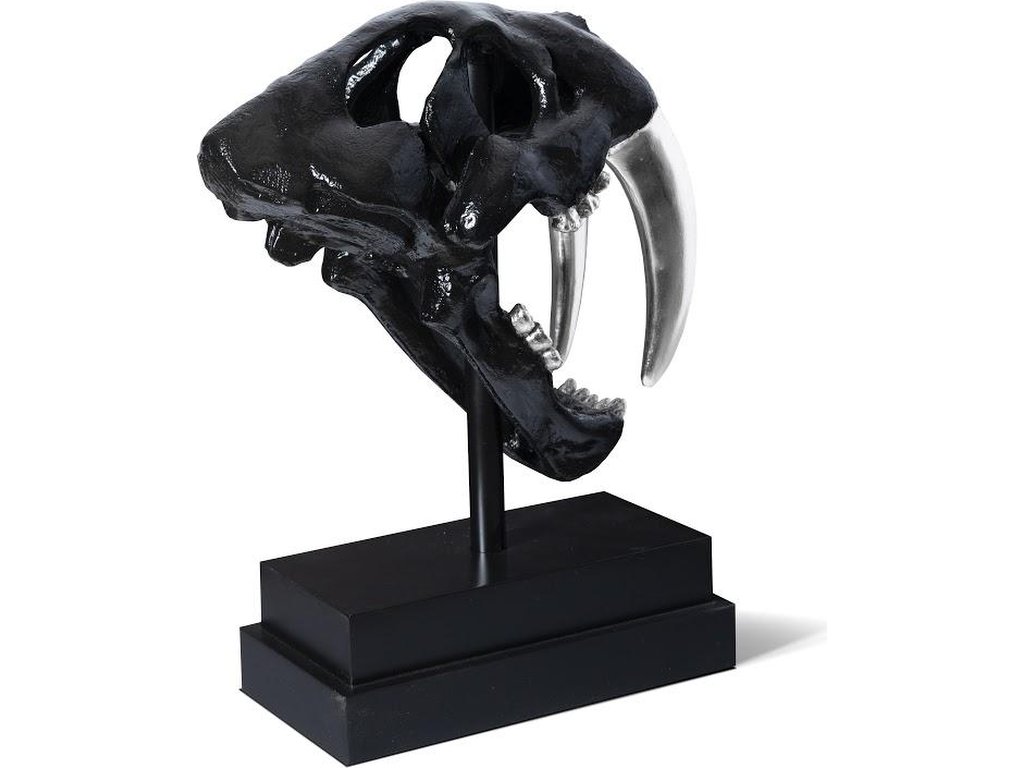 Saber Tooth Tiger Skull, Black - image 2