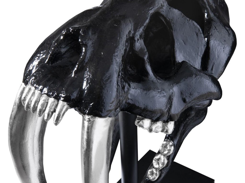 Saber Tooth Tiger Skull, Black - image 3