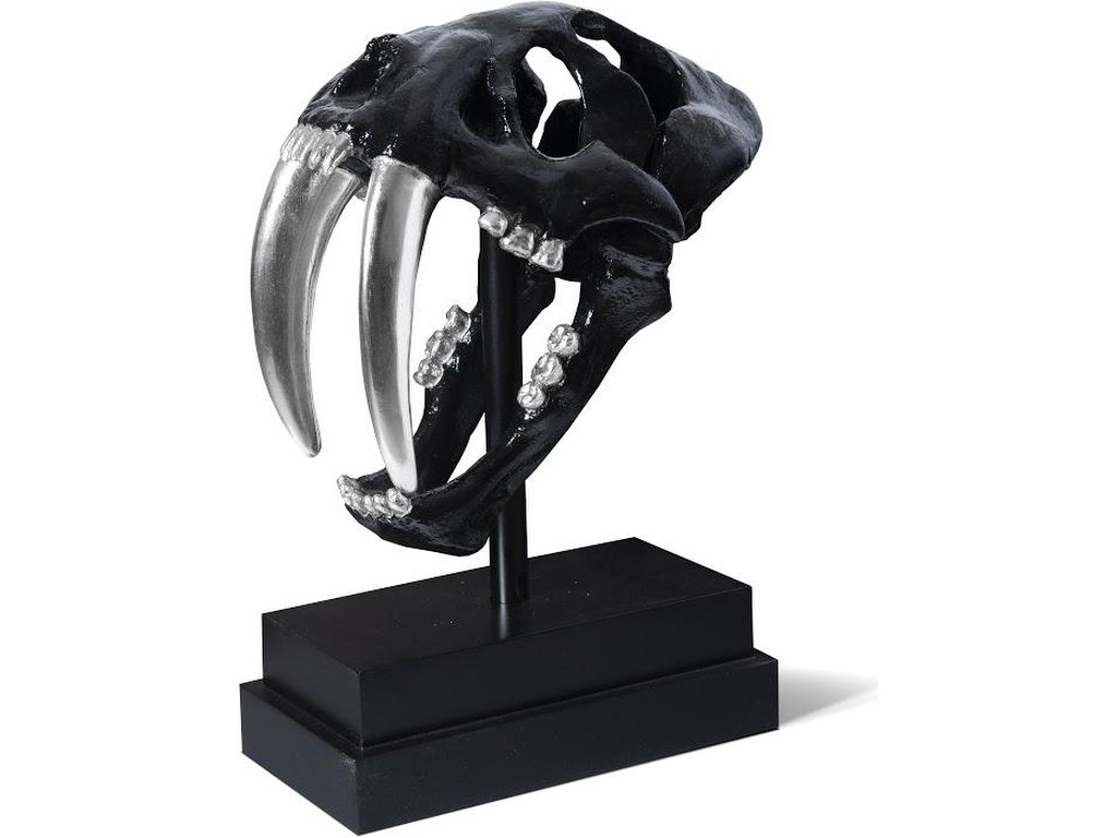 Saber Tooth Tiger Skull, Black - main image