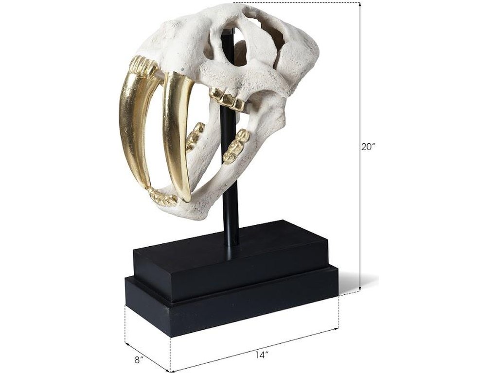 Saber Tooth Tiger Skull, Roman Stone - image 4