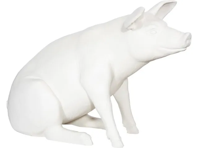 Happy Pig - Alternative View