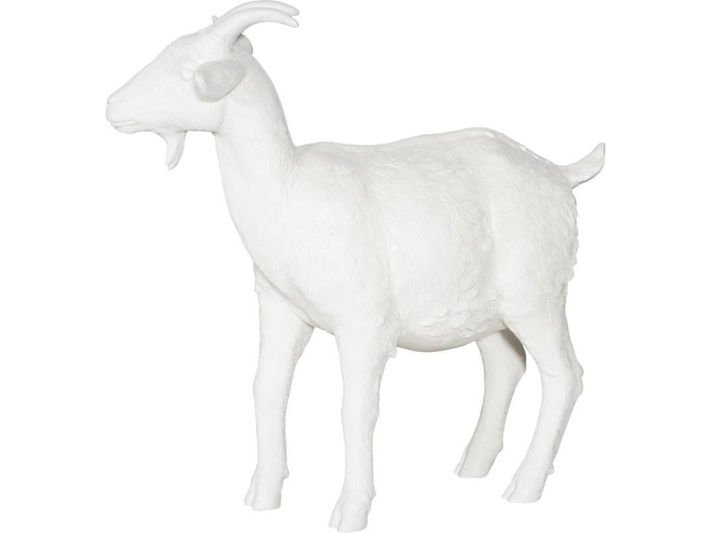 Goat, Off White - main image