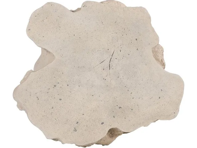 Log Side Table, Roman Stone