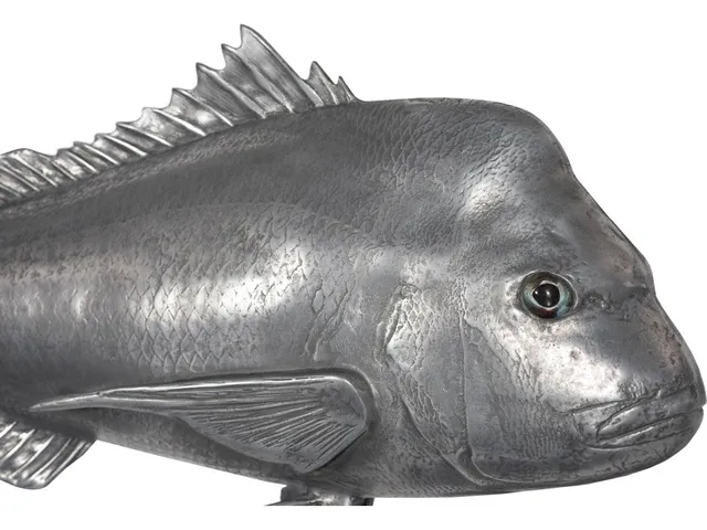 Australian Snapper Fish Wall Sculpture, Resin, Polished Aluminum Finish - Alternative View