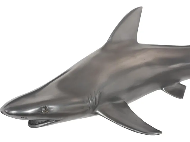 Black Tip Reef Shark, Polished Aluminum