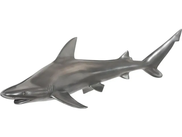 Black Tip Reef Shark, Polished Aluminum