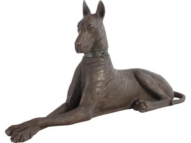 Great Dane, Bronze, Right