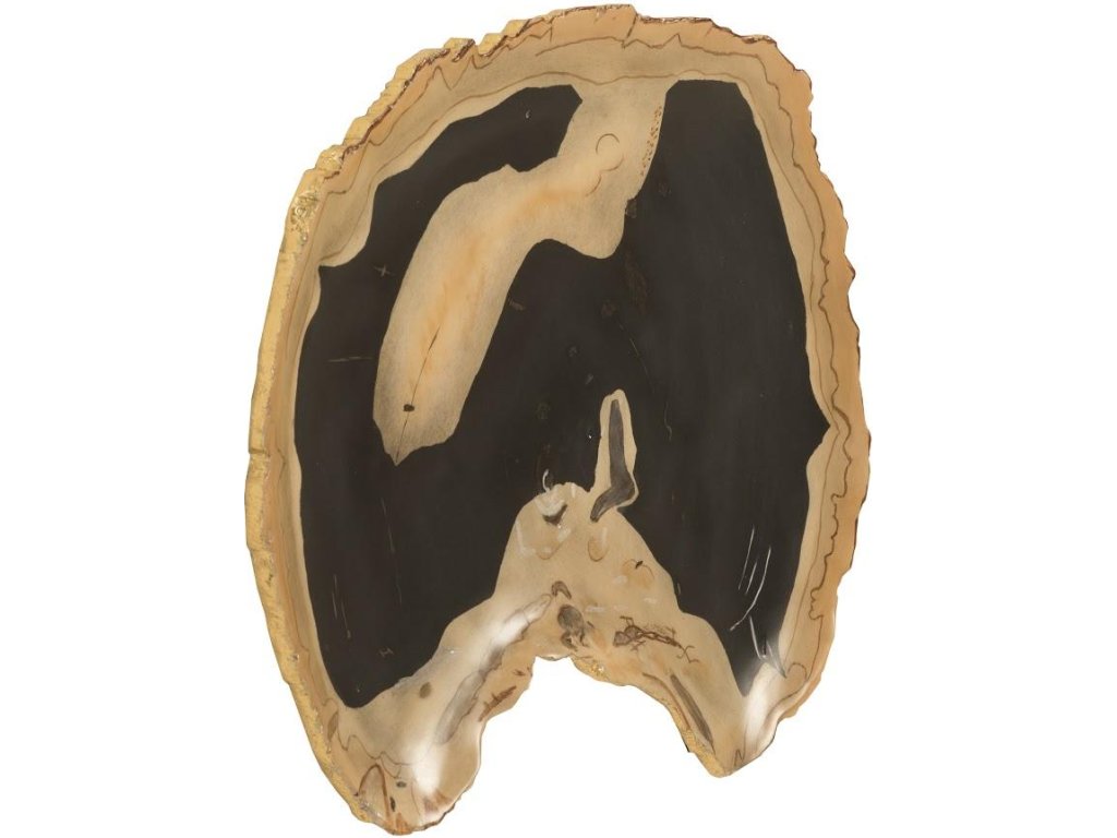 Cast Petrified Wood Wall Tile, Resin, Thin - image 1