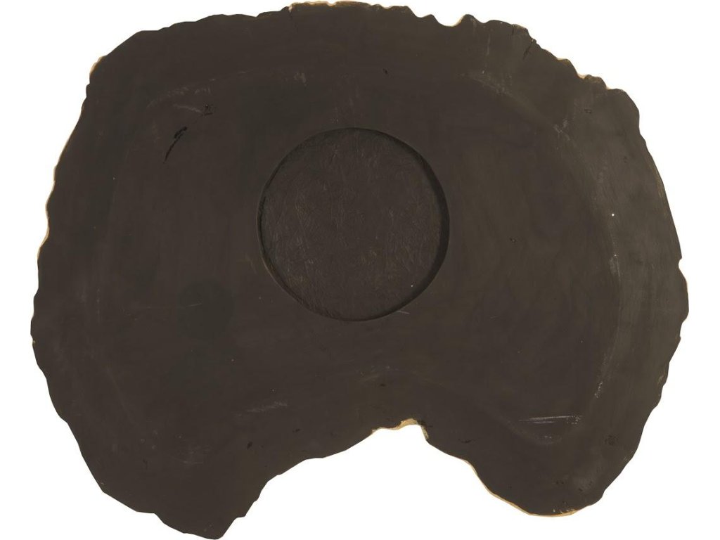 Cast Petrified Wood Wall Tile, Resin, Thin - image 3