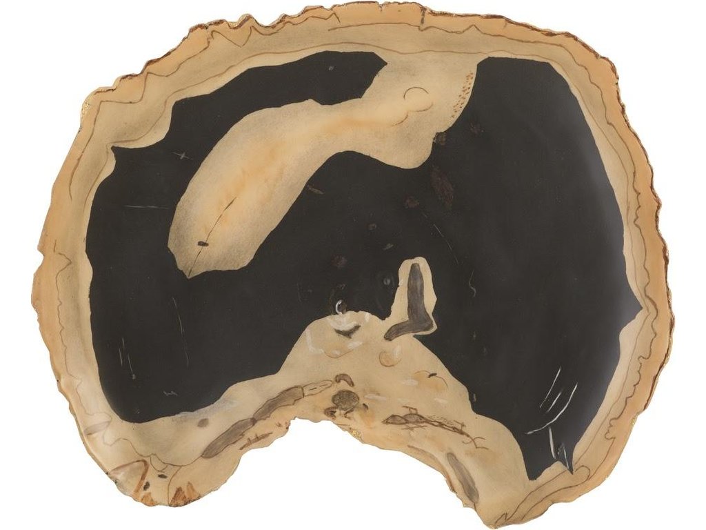 Cast Petrified Wood Wall Tile, Resin, Thin - main image