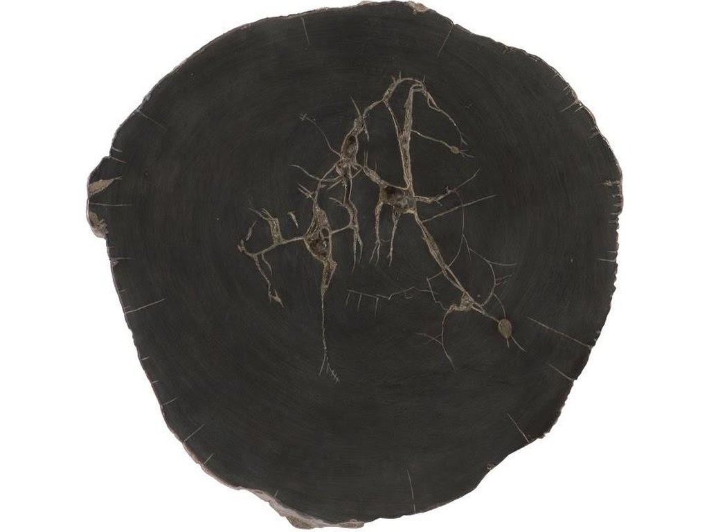 Cast Petrified Wood Wall Tile, Resin - main image