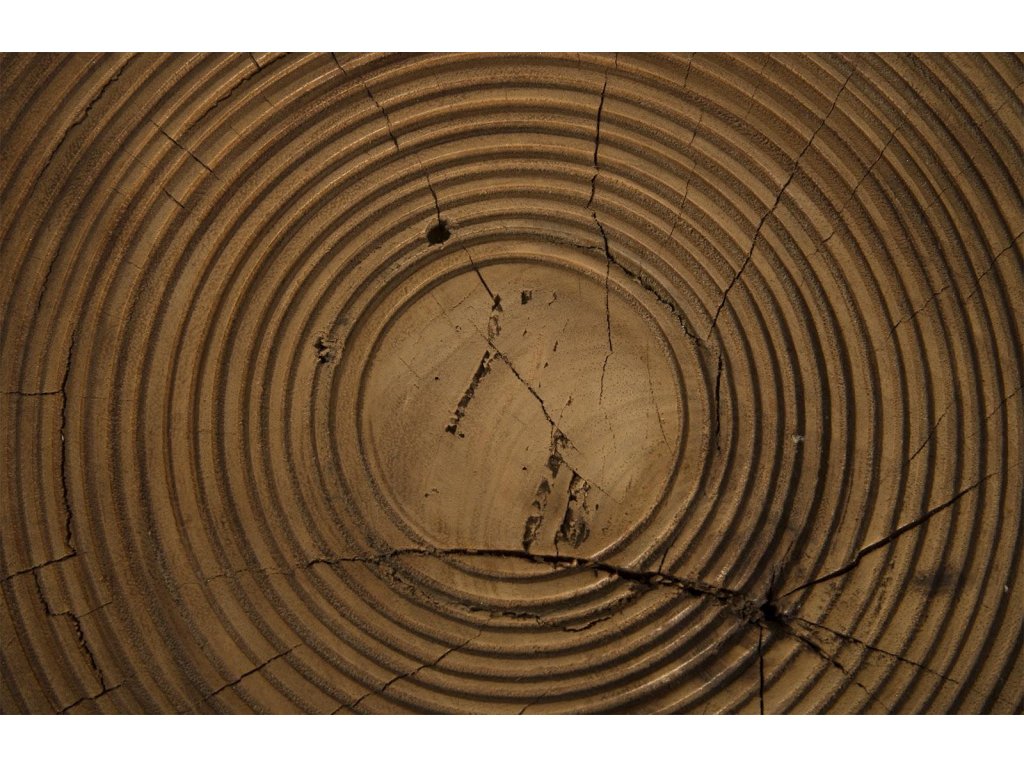 Lathe Side Table, Chamcha Wood - image 2