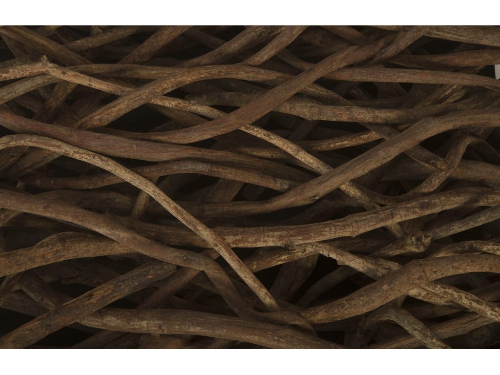 Vine Coffee Table, with Glass - image 2