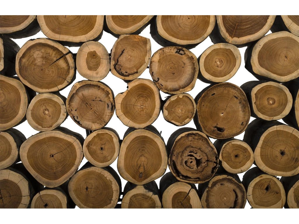 Boscage Console Table, Iron Frame - image 3