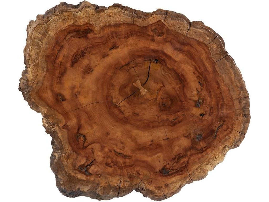 Burled Coffee Table, Black Metal Legs, Large - image 1