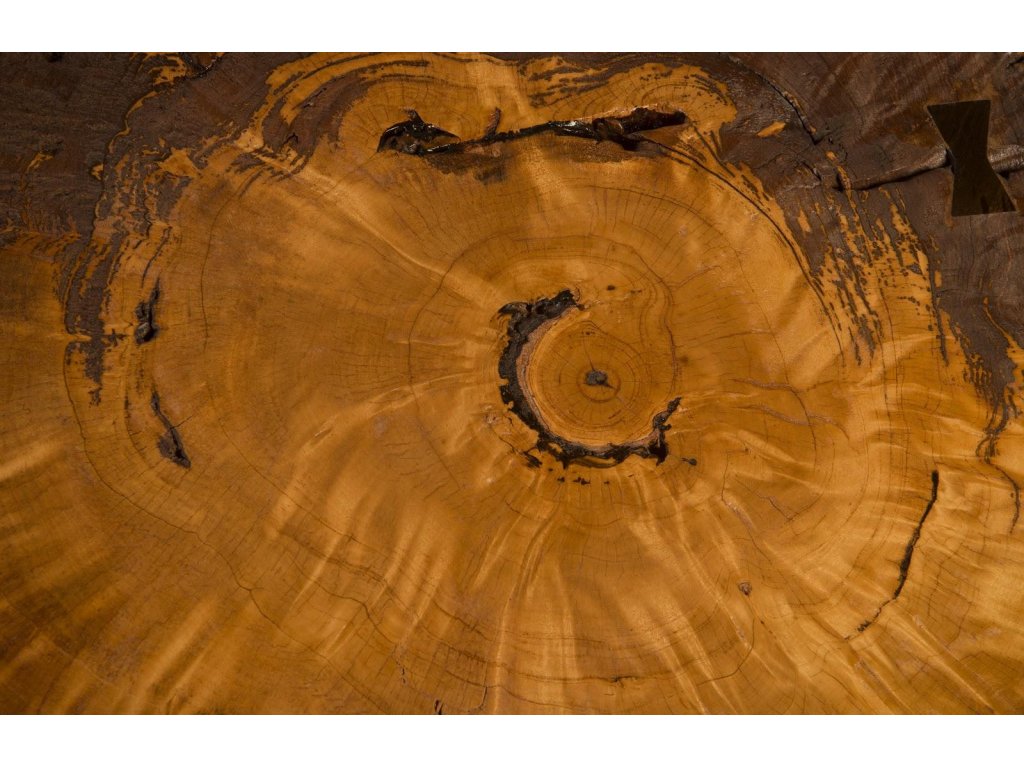 Burled Coffee Table, Black Metal Legs, Large - image 3