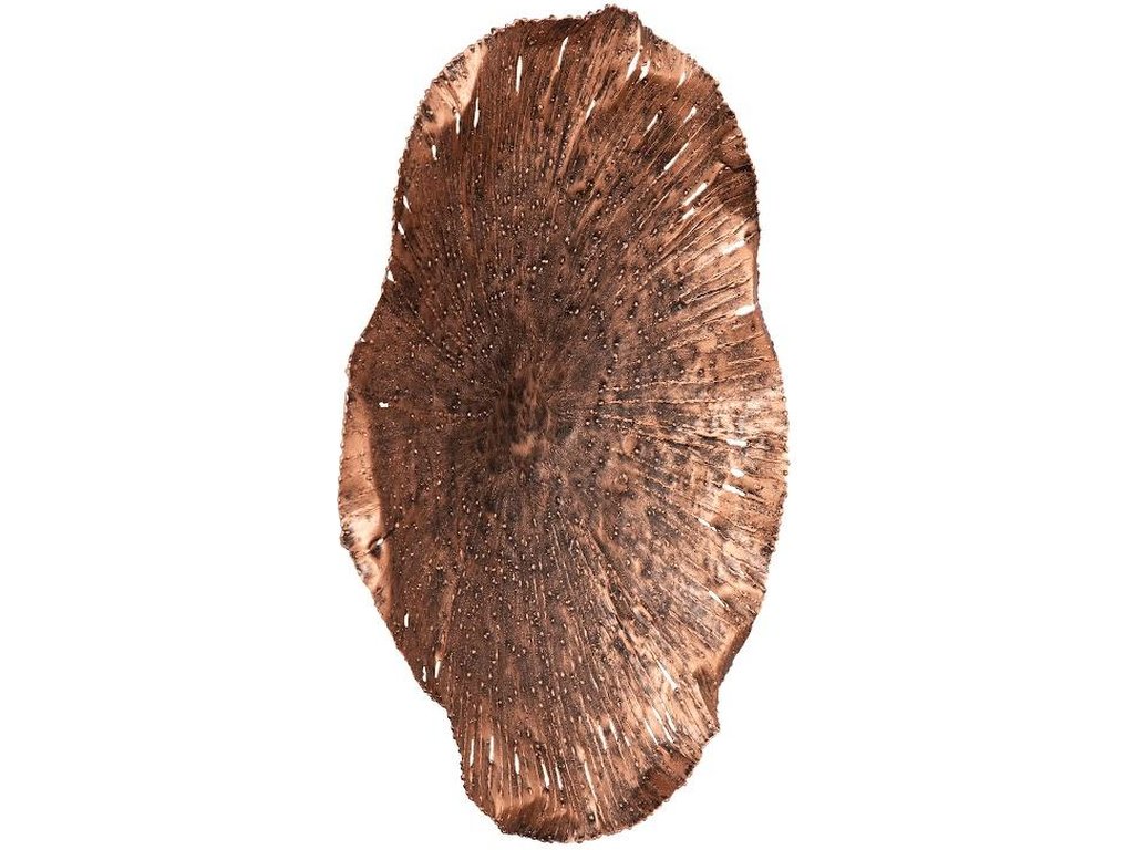 Lotus Wall Art, Copper/Black, MD - image 1
