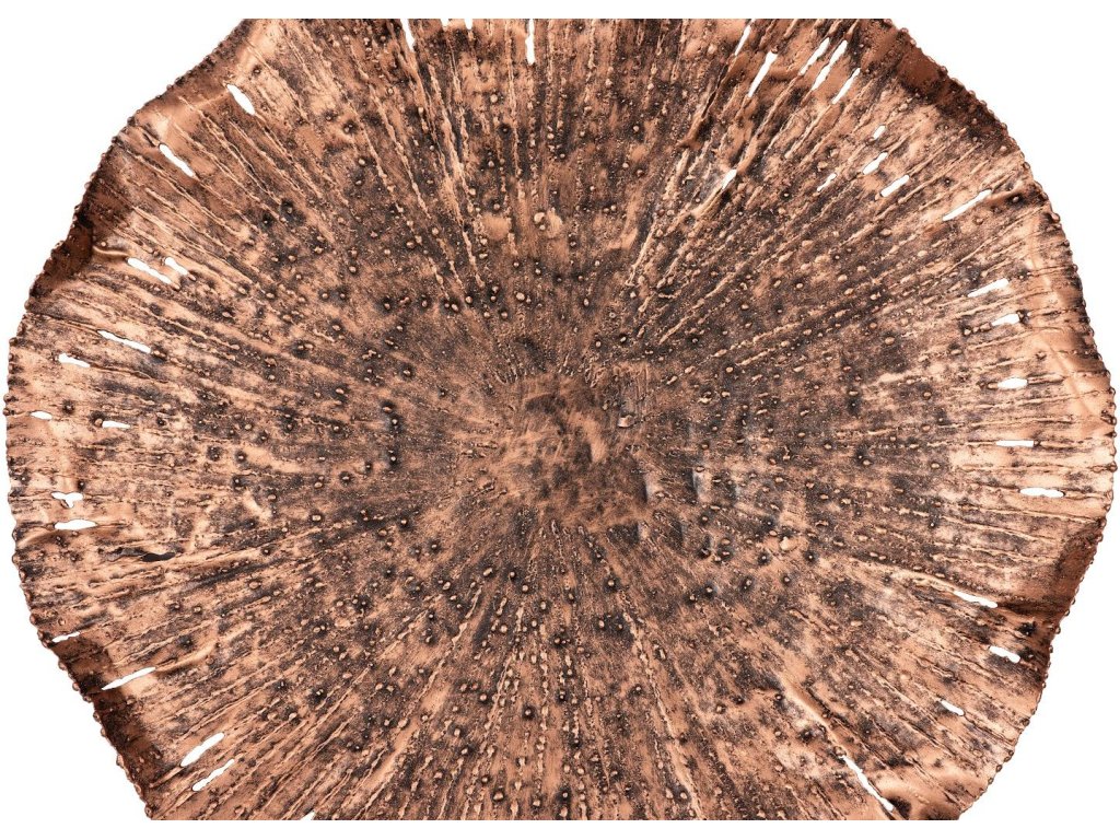 Lotus Wall Art, Copper/Black, MD - image 2